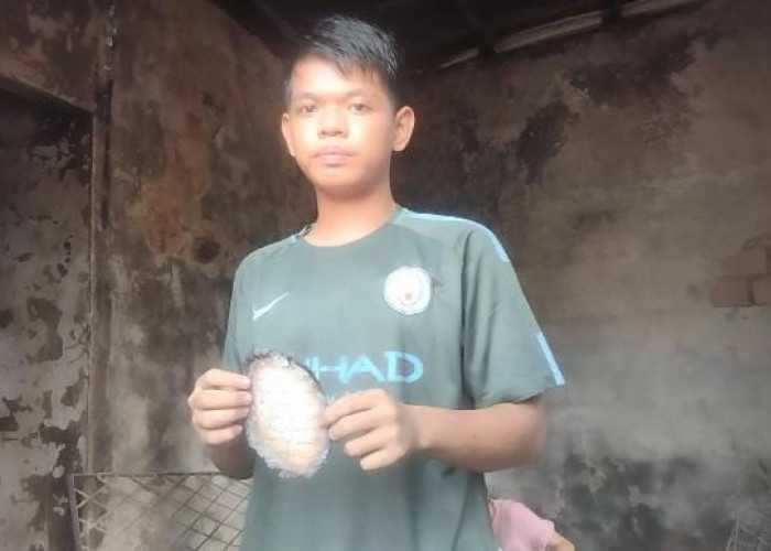 Kebakaran Lorong Sabar, Rumah Hingga Barang Tak Bisa Diselamatkan, Sisakan Alquran Kecil Diantara Puing-puing