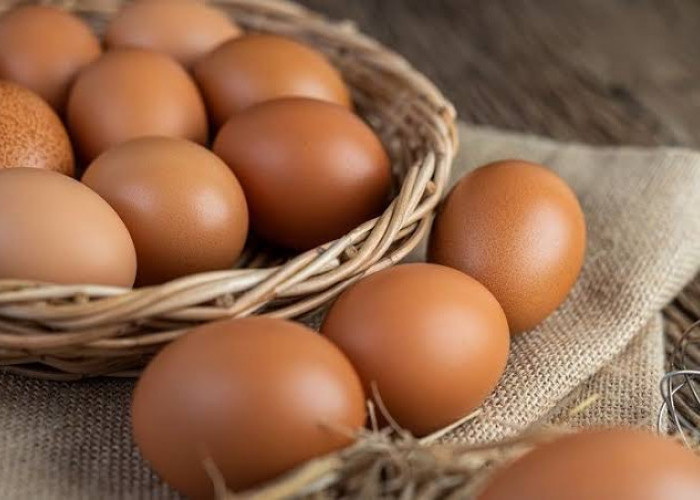  Mitos atau Fakta, Mengkonsumsi Lebih dari 1 Telur Sehari Bisa Menaikkan Kadar Kolesterol? Ini Penjelasannya