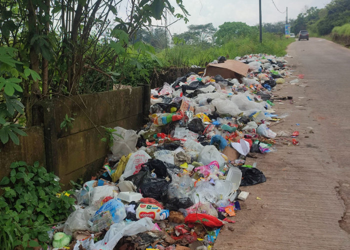 Tumpukan Sampah Berserakan Banyak Ditemui di Kota Palembang, Begini Respon Ratu Dewa