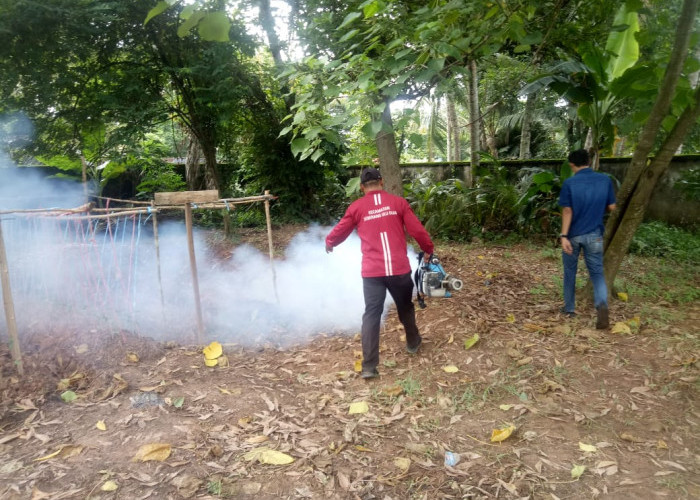 Cegah Wabah DBD, Pj Wako Ratu Dewa Laksanakan Fogging Gratis Serentak di 18 Kecamatan