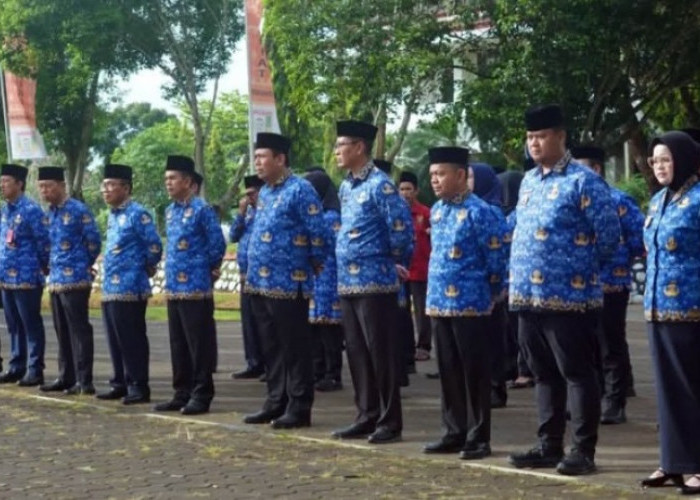 Jadi Temuan BPK Sumsel, ASN Banyuasin Tidak Boleh Menerima Honor?