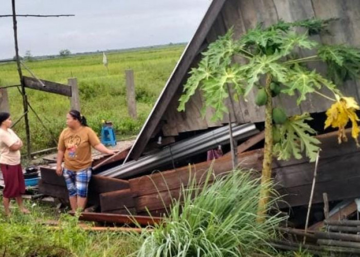 Angin Puting Beliung Terjang 3 Kecamatan Banyuasin, Pemkab Gerak Cepat Beri Bantuan