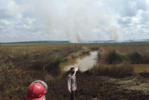 Tiga Hektar Lahan Lebak Purun Deling Terbakar