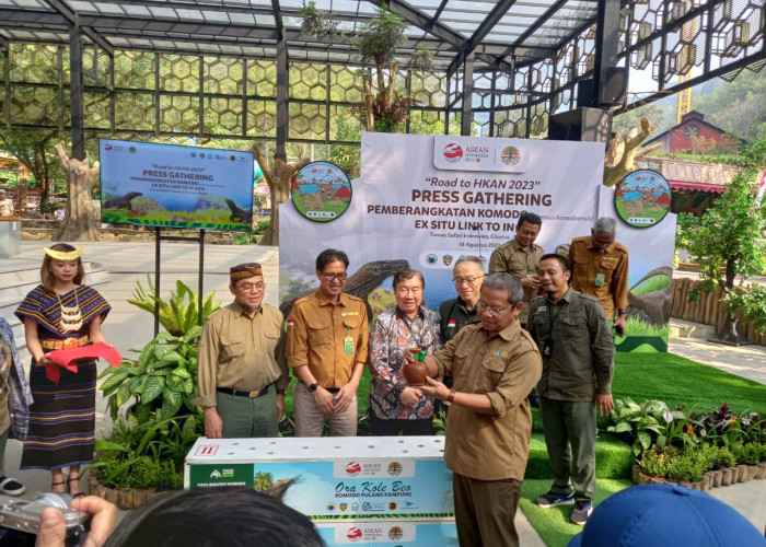 Taman Safari Bogor, Smelting dan KLHK Berangkatkan 6 Ekor Komodo untuk Dilepasliarkan ke Cagar Alam Wae Wuul 