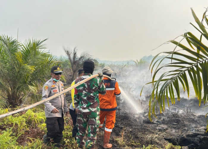Titik Api di Pangkalan Lampam OKI Dipadamkan Satgas Gabungan, Sumber Air jadi Kendala