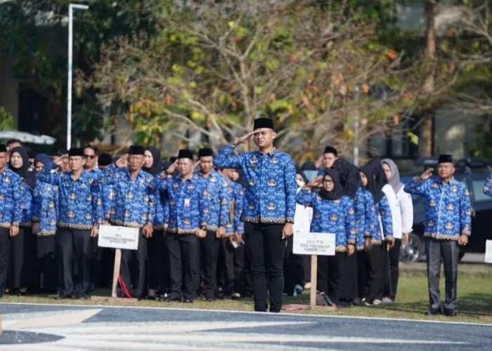 Kenaikan Gaji PNS & PPPK, Bakal Diumumkan Presiden Jokowi pada 16 Agustus 2024, Berapa Besarannya? 