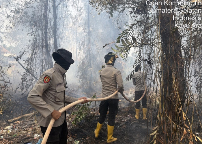 Karhutla 1 Hektare di Tulung Selapan OKI, Ditangani Personel BKO Polda Sumsel