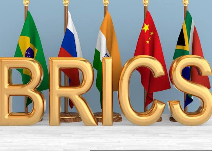 Beredar Kabar, Indonesia Kandidat Kuat Anggota BRICS, Brasil Menentang