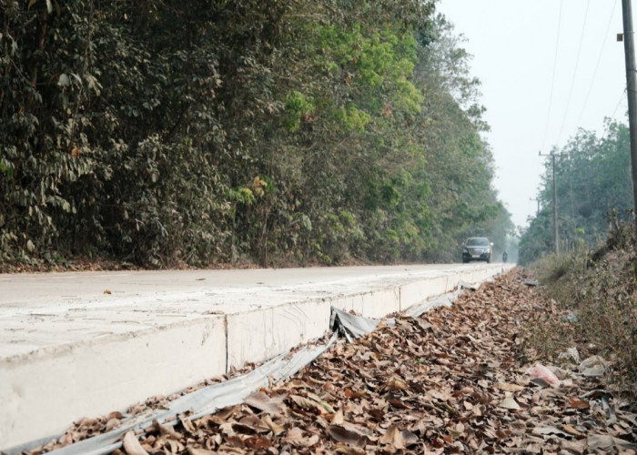Kolaborasi Pusat dan Daerah Tingkatkan Konektivitas Jalan di OKI