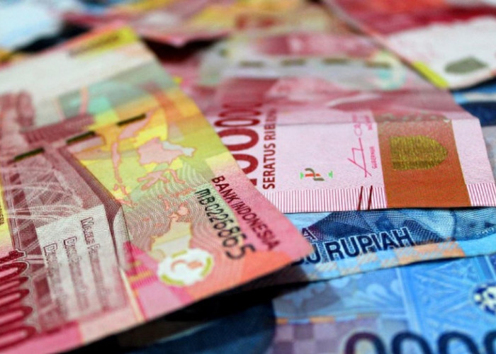 Pasca Penerapan Coretax, Penerimaan Pajak di Sumatera Selatan Tumbuh 9,1 persen
