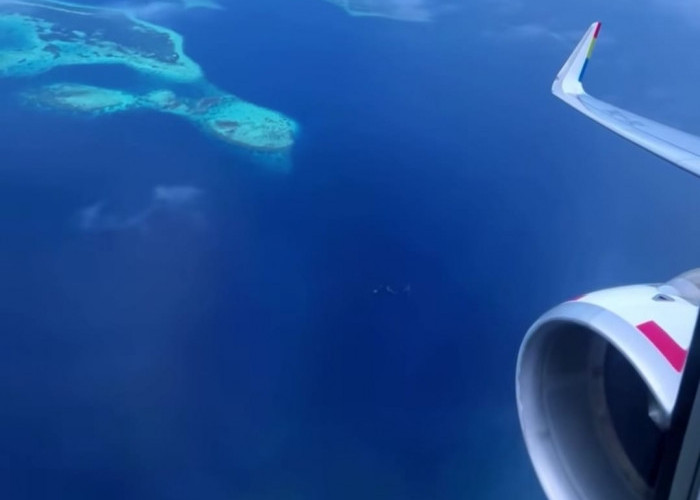 Pelita Air Tambah Armada Airbus A320 PK-PWO,  Perkuat Konektivitas 17 Kota dan Buka Rute Internasional