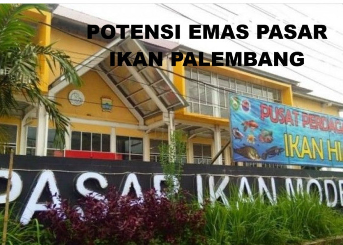 Potensi Emas Pasar Ikan: Wali Kota Palembang Ratu Dewa Minta Kadin Bersinergi 