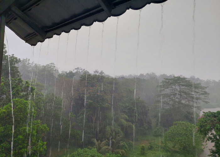 CEK, Ini Prakiraan BMKG Cuaca Sumsel dan Peringatan Dini Bengkuku Babel dan Lampung