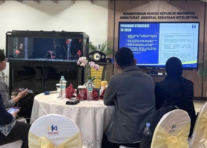 Siap-siap! Kemenkum Rekomendasikan Penutupan 885 Situs Pelanggar Kekayaan Intelektual