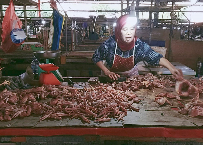 Emak-emak ‘Menjerit’ Harga Daging Ayam di Muara Enim Tembus Rp45 Ribu/Kg