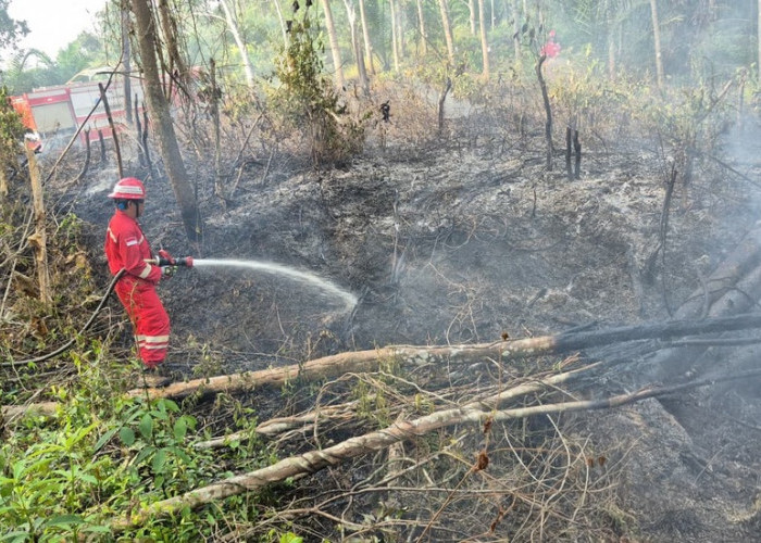 Jaga Keselamatan Bersama, PHR Zona 4 Respon Cepat Padamkan Lebih dari 100 Titik Api Karhutla Sumsel