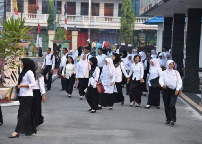 Sedih! PPPK Paruh Waktu 2025 Honorer Hanya Ganti Baju, Gajinya! 