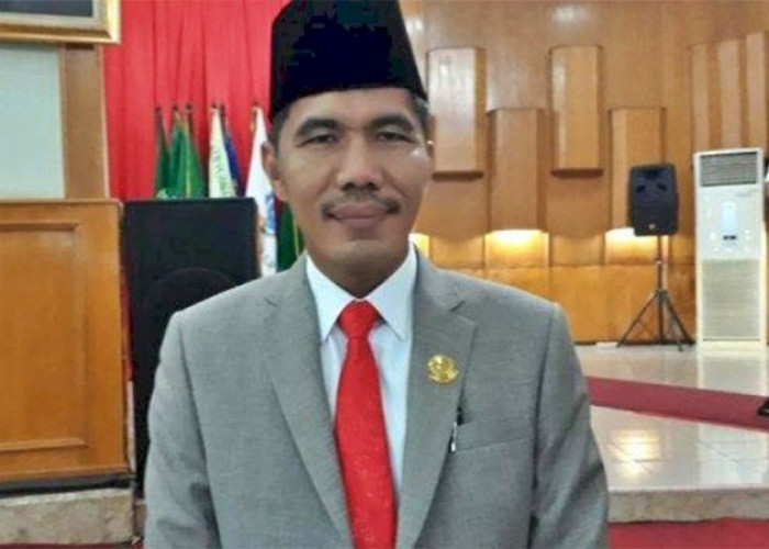 Ketua Partai Demokrasi Indonesia Perjuangan Lakukan PAW Dedi Sipriyanto, Alasannya?