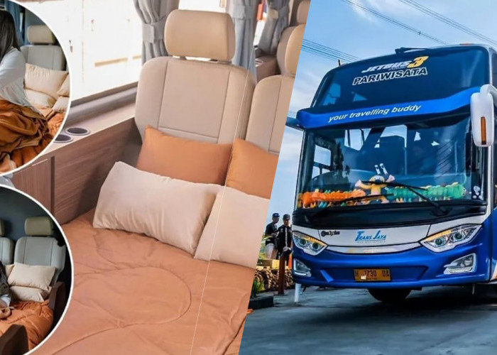 Camper Bus Andalan PO Trans Jaya, Berikan Jaminan Kenyamanan Hingga Tak Buat Bosan Penumpang