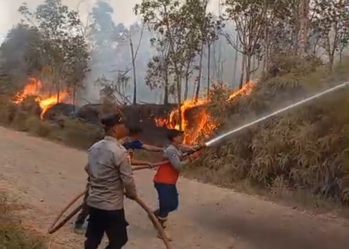 Bara Gambut Mengintai di Bawah Tanah! Polda Sumsel Sisir 80 Hektare Karhutla dengan Metode Spiral hingga Malam
