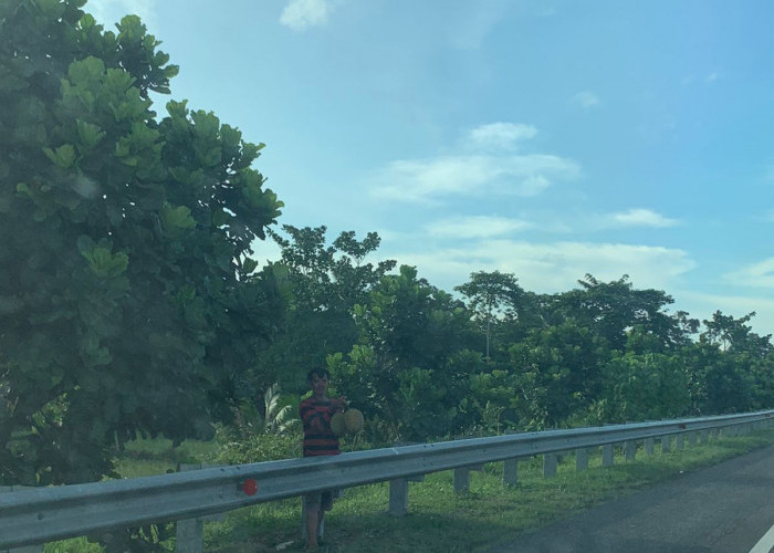 Langsung Jatuh di Kebun, Tawarkan Buah Durian di Pinggir Ruas Tol Kayuagung-Palembang