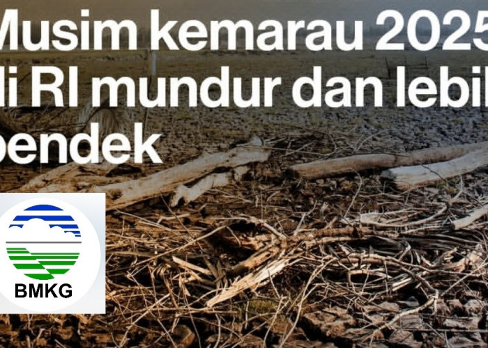 Mengapa Musim Kemarau 2025 Mundur dan Berdurasi Lebih Pendek, Berikut Ini Penjelasan BMKG 