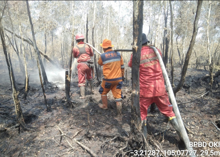 Personel Berjibaku Padamkan Karhutla di 7 Kecamatan Kabupaten OKI, Sumber Air Menipis