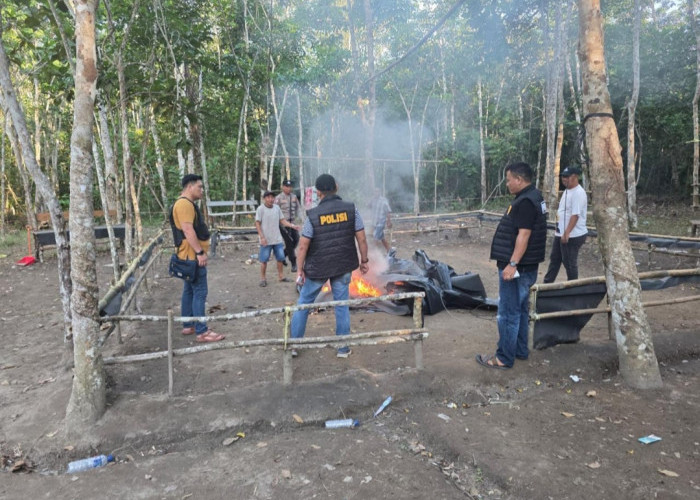 Polres OKI Selidiki Dugaan Perjudian Sabung Ayam di Pematang Panggang Mesuji