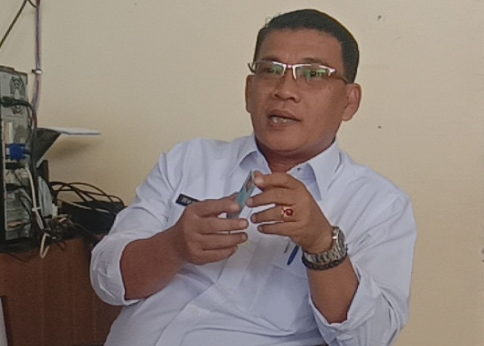 Laporan LHKPN Kepala Daerah, Kekayaan Bupati Muratara Devi Suhartoni Tertinggi di Sumsel