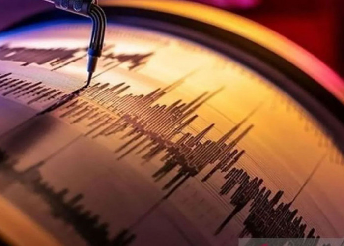 Venezuela Dilanda Gempa 7,1 Magnitudo, Peringatan Tsunami Dikeluarkan