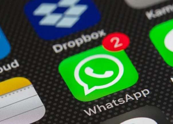 Sudah Tahu Belum?, WhatsApp Bisa Kirim Pesan Tanpa Kuota Internet, Begini Cara Settingnya