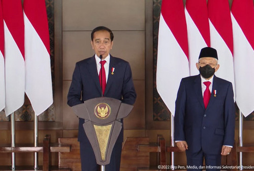 Temui Putin dan Zelenskyy, Presiden Jokowi Bawa Misi Perdamaian