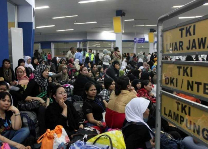 Ratusan Warga OKI di Tahun 2024 Minta Rekomendasi Disnakertrans Jadi Calon Pekerja Migran Indonesia