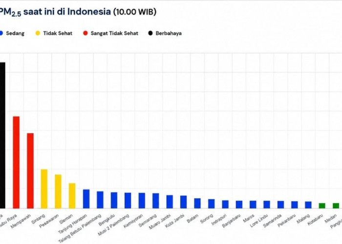Cek Ini Kualitas Udara Indonesia: Palangkaraya Tembus 375 µg/m³, Daftar PM2.5 dari Kalimantan hingga Jawa