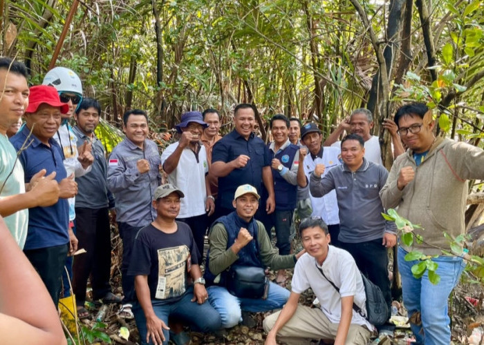 PLTS Komunal Jadi Solusi Akses Listrik Desa Pesisir OKI
