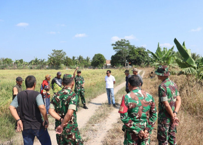 Desa Jukdadak OKI Bakal Panen Raya Serentak Bersama Presiden, Lokasi Ditinjau