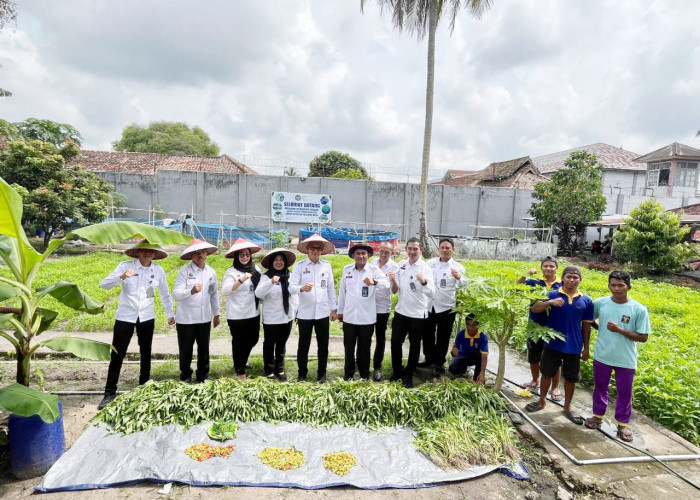 Lapas Tanjung Raja Ogan Ilir Panen Raya Kangkung dan Cabai, Wujud Nyata Program Ketahanan Pangan