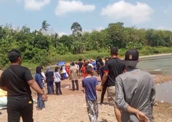 Heboh Penampakan Buaya Saat Tim SAR Gabungan Cari Korban Tenggelam di Rantau Alai Ogan Ilir