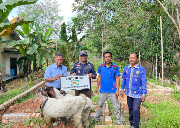 Komitmen PT TeL dalam Distribusi Hewan Kurban 2025: Berbagi Berkah Idul Adha 