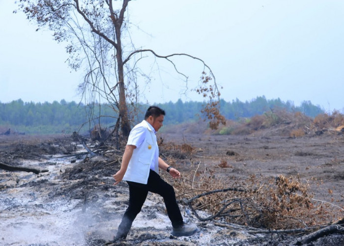 Gubernur Sumsel Tekankan Pencegahan dan Keterlibatan Masyarakat untuk Tangani Karhutla