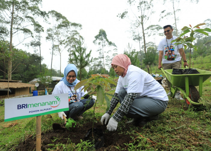Memberi Makna Indonesia, Simak Sederet Capaian BRI Terus Tebarkan Social Values