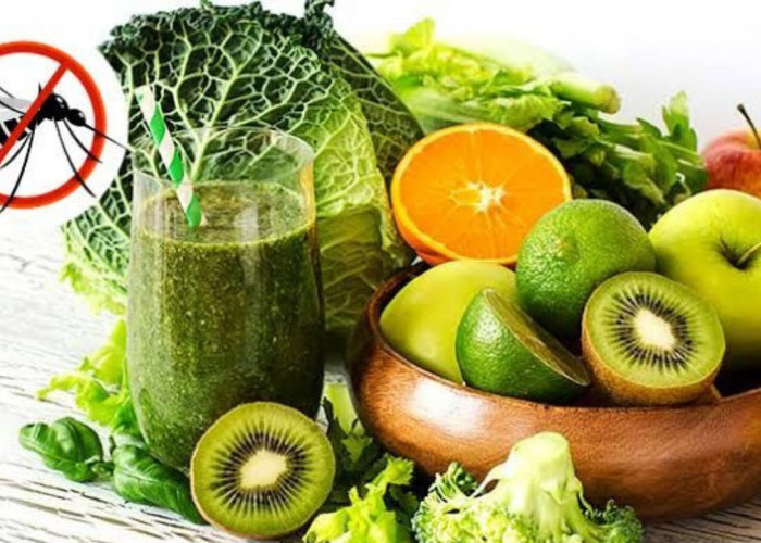 Awas Gejala DBD di Bulan Februari! Cara Meningkatkan Trombosit Secara Alami