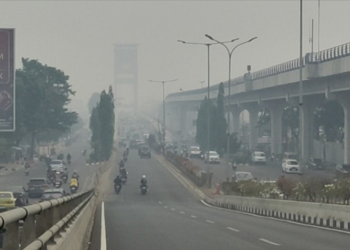 Palembang Darurat Kabut Asap, Jembatan Ampera Hilang Ditelan Pekatnya Asap