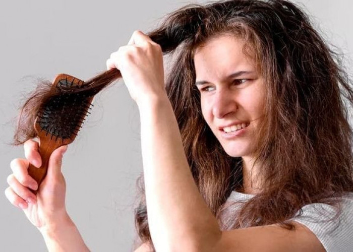 Bye-bye Rambut Rusak, Berikut Bahan Alami Disekitar Rumah Bisa Bikin Rambut Sehat dan Berkilau