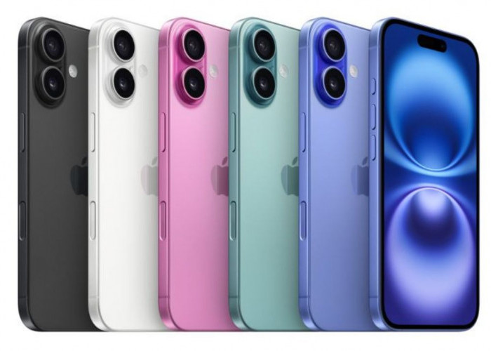 Daftar Harga iPhone 16 Series Terbaru di iBox Oktober 2026, Diskon hingga 29 Persen