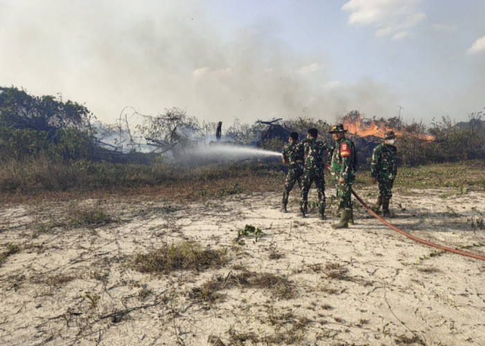 Lahan Cetak Sawah Rakyat 35 Hektar di Desa Cahya Bumi Lempuing OKI Terbakar, TNI Padamkan