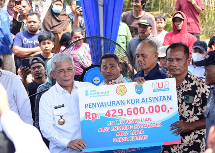 OKI Jadi Daerah Peremajaan Kelapa Sawit Rakyat Terluas di Indonesia