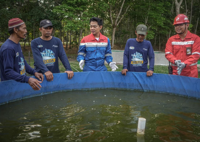 Pertamina Patra Niaga Kilang Plaju: Harmoni dengan Alam untuk Keandalan Energi Berkelanjutan