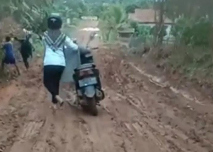 Takut Jatuh Seorang Wanita Dorong Motor Saat Melintasi Jalan Berlumpur Di Desa Lebung, Banyuasin, Sumsel