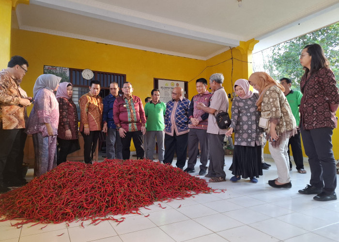 Pemkot Palembang dan Pemkab Kulon Progo Teken Kerjasama Pengendalaian Inflasi Cabai